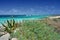 Scenic lanscape of Formentera island