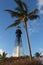 Scenic Lighthouse Palm Tree Beach Florida