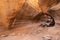 Scenic limestone canyon, Barranco de las Vacas in Gran Canaria, Canary islands Spain.