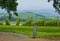 Scenic look over the panorama at a Yarra Valley Vineyard