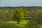 Scenic lush, rural landscape in Surrey, England