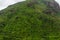 Scenic Malibu vista in springtime after a rainstorm, with lush greenery and tree burnt by the fires in the foreground