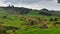 Scenic Mangaotaki Valley in New Zealand