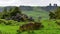 Scenic Mangaotaki Valley in New Zealand