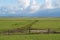 scenic maritime panorama of Norderney island in the North Sea in Germany