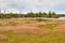 Scenic Marsh near Emerald Isle, North Carolina