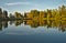 Scenic marshland during autumn time