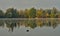 Scenic marshland during autumn time