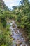 Scenic Maui Rainforest Stream