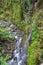 Scenic Maui Rainforest Stream Landscape