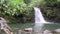 Scenic Maui Waterfall