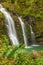 Scenic Maui Waterfall