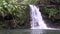 Scenic Maui Waterfall Landscape