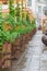 Scenic medieval style outdoor terrace with plants