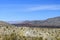Scenic Mojave Desert valley with hills and mountains under a blue sky
