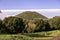 Scenic Mount Oak Trees Covered