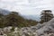 Scenic mountain landscape. Relict forest of Lebanon cedar. Lycian Way, Turkey