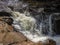 Scenic mountain stream in Beskidy, Poland