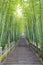 Scenic mountaineer step stairs next to the bamboo forest