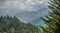 Scenic mountainous forest with lush foliage under the cloudy sky