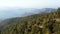 Scenic mountainside landscape with green coniferous forest. Troodos, Cyprus