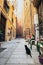 Scenic narrow italian street with historic traditional houses an