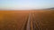 Scenic narrow road passing through remote Carrizo plain national monument in California