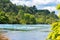 Scenic native bush and trees growing to edges of River at Huka Rapids