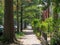 Scenic neighborhood sidewalk with townhouses at H street in Washington, DC