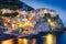 Scenic night view of colorful village Manarola in Cinque Terre