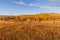 Scenic Old Cabin in Autumn in the Tetons