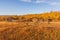 Scenic Old Cabin Landscape in Autumn