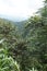 Scenic outlook point in the Cotacachi Cayapas Ecological Reserve