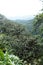 Scenic outlook point in the Cotacachi Cayapas Ecological Reserve