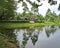 Scenic overgrown pond with a stone gazebo on the shore, in cloudy weather, Phang Nga, Thailand