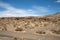 Scenic overlook of the Columbia River at ginkgo petrified forest state park in Washington