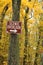 Scenic Overlook Sign in Forest in Wisconsin
