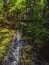 Scenic Pacific Northwest waterfall in the forest