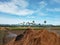 Scenic Paddy Field During Harvest Season in Summer