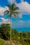 Scenic palm and sky at Koh Samui tropical resort
