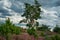 Scenic panorama of a german heather landscape in autumn with purple blooming erica plants