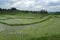 Scenic panorama landscape view of amazing beautiful green rice terrace paddy field in Jatiluwih Bali