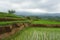 Scenic panorama landscape view of amazing beautiful green rice terrace paddy field in Jatiluwih Bali