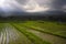 Scenic panorama landscape view of amazing beautiful green rice terrace paddy field in Jatiluwih Bali