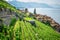 Scenic panorama of Lavaux with the Saint-Saphorin village green terraced vineyards and Geneva lake in Lavaux Switzerland