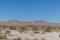 Scenic panoramic Joshua Tree National Park vista, California