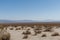 Scenic panoramic Joshua Tree National Park vista, California