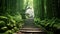 A scenic path cuts through a vibrant green forest, guiding towards a tranquil and peaceful atmosphere, A tranquil bamboo forest in