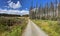 A scenic path through the Harz mountains in Germany on a sunny summer day