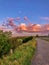 A Scenic Pathway Under A Vibrant Sunrise Sky